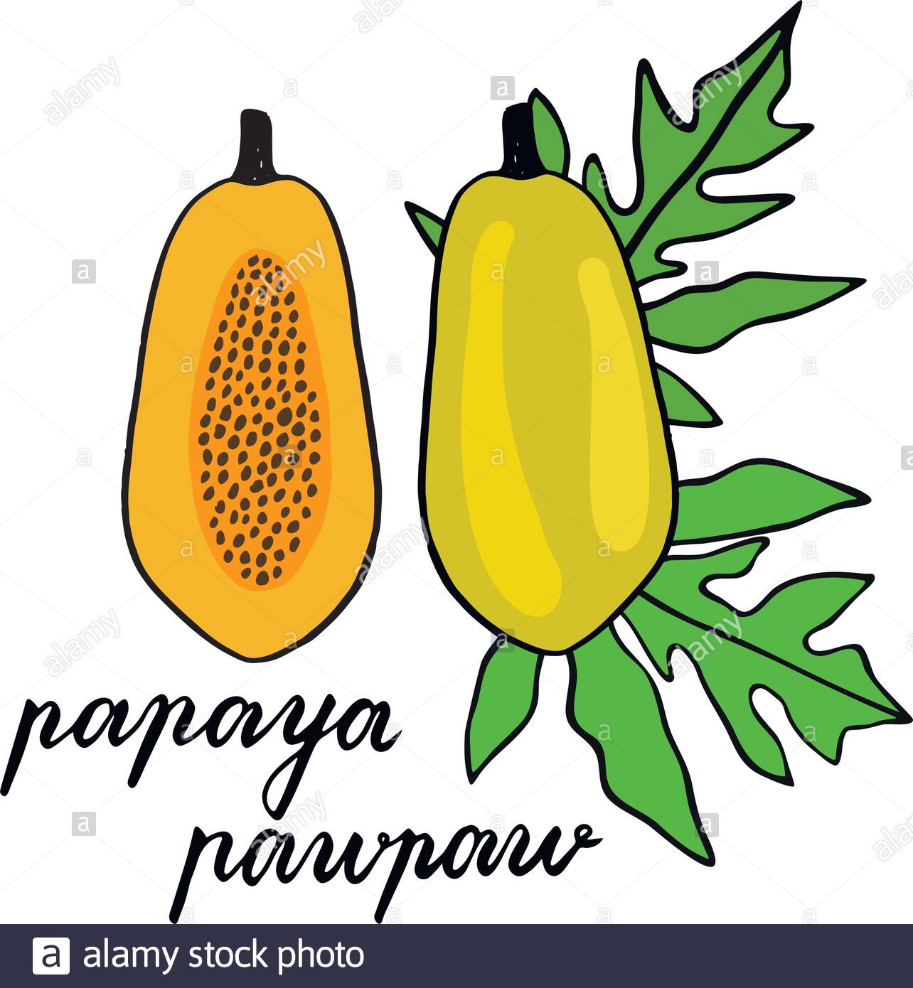 Papaya | Pappita